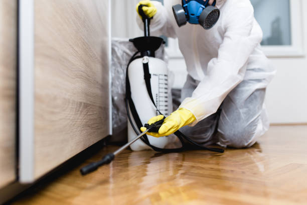 Best Emergency Pest Control  in Oakdale, MN