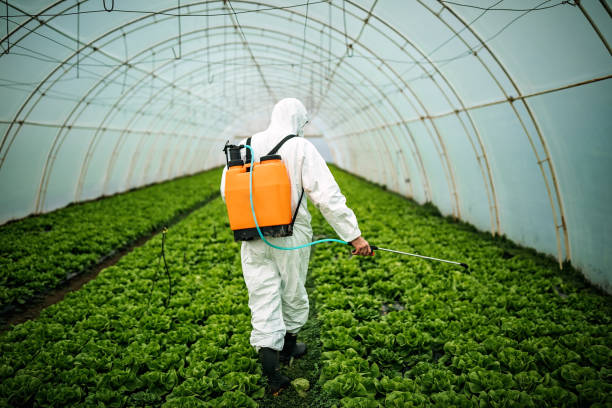 Best Pest Inspection Near Me  in Oakdale, MN